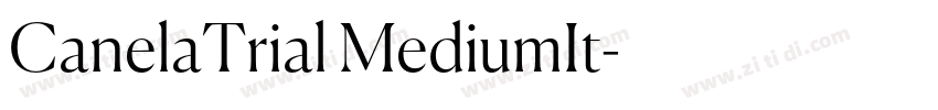 CanelaTrial MediumIt字体转换 CanelaTrial MediumIt字体转换